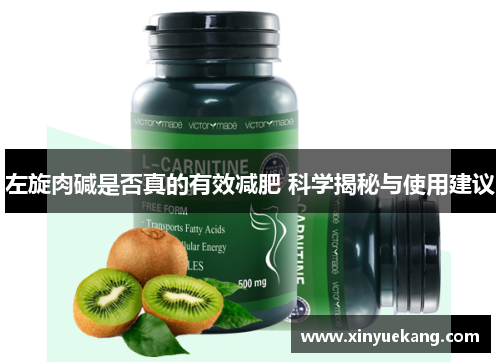 左旋肉碱是否真的有效减肥 科学揭秘与使用建议