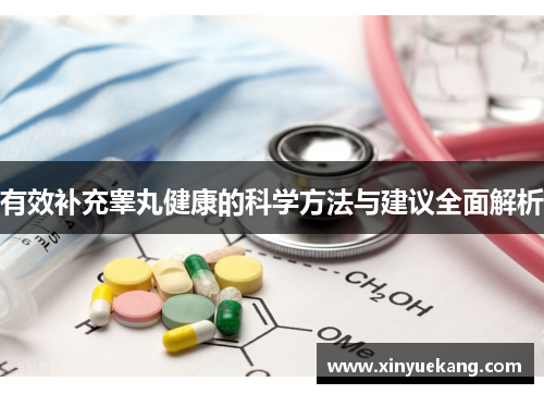 有效补充睾丸健康的科学方法与建议全面解析