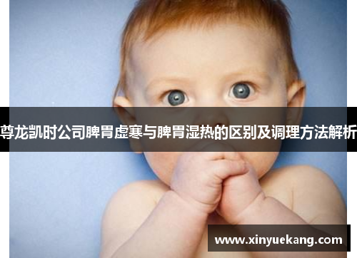 尊龙凯时公司脾胃虚寒与脾胃湿热的区别及调理方法解析