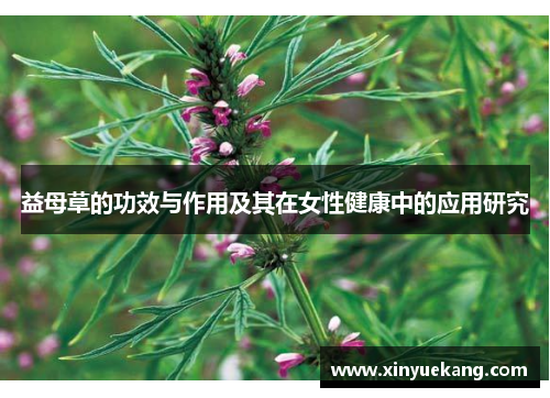 益母草的功效与作用及其在女性健康中的应用研究
