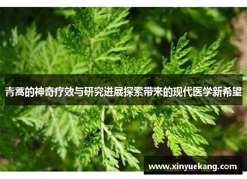 青蒿的神奇疗效与研究进展探索带来的现代医学新希望